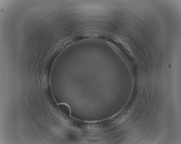 X0000063460641200601271605