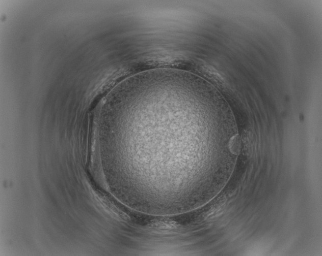 X0000063460642200601271605