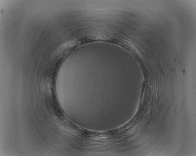 X0000063460643200601271605