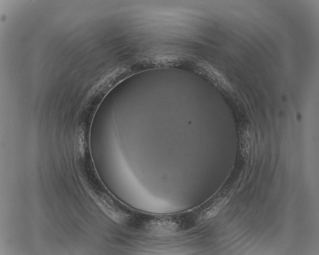 X0000063460644200601271605