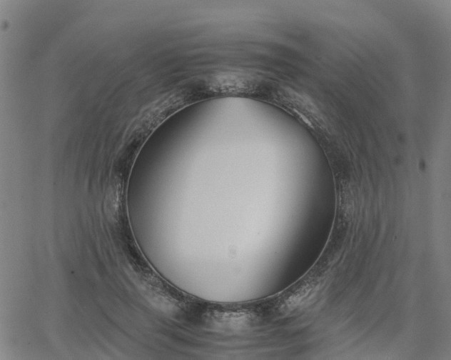 X0000063460645200601271605