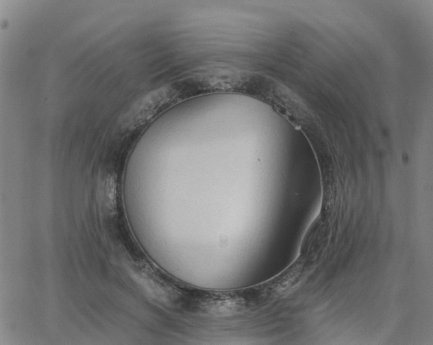 X0000063460646200601271605