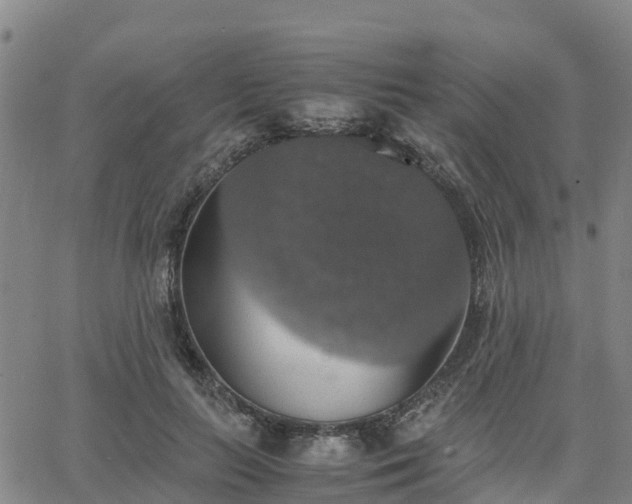 X0000063460647200601271605