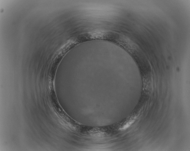 X0000063460648200601271605