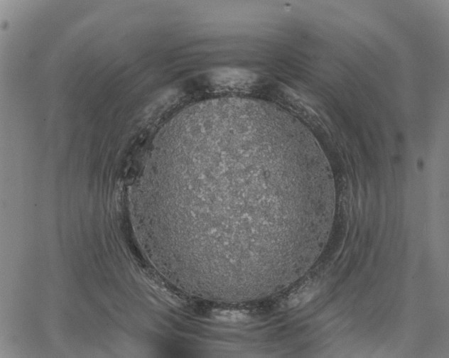 X0000063460649200601271605