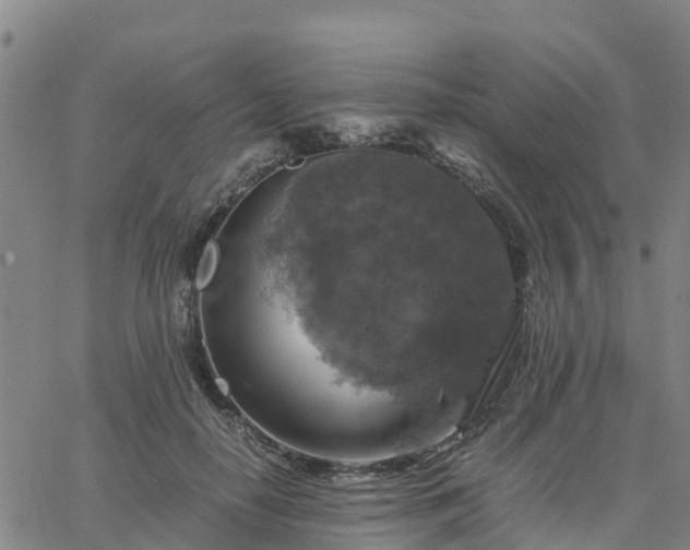 X0000063460650200601271605