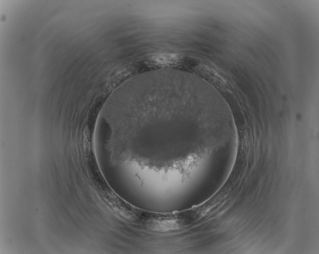 X0000063460651200601271605