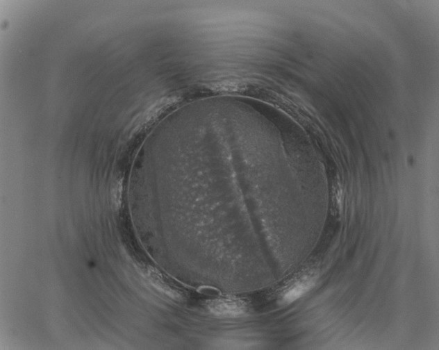 X0000063460652200601271605