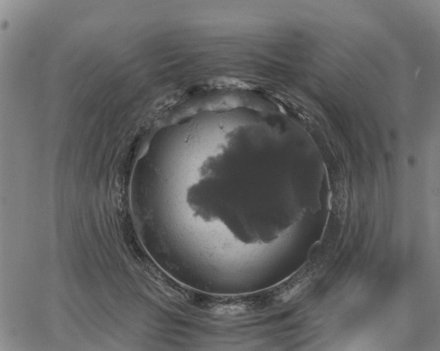 X0000063460653200601271605