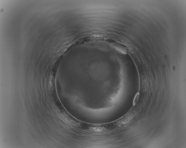 X0000063460654200601271605