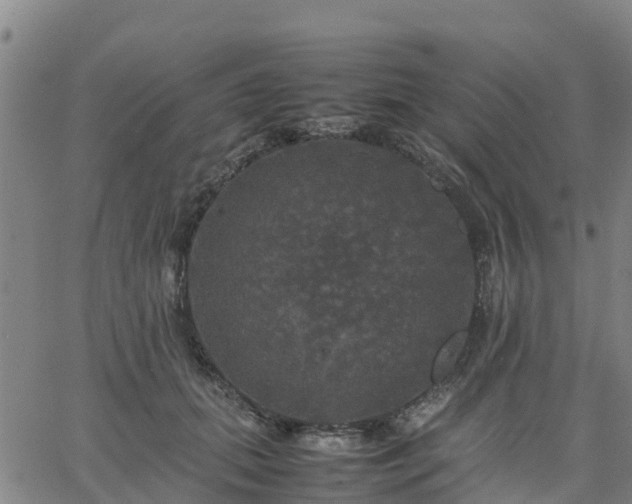 X0000063460655200601271605