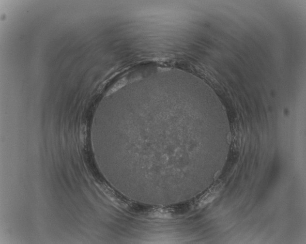 X0000063460656200601271605