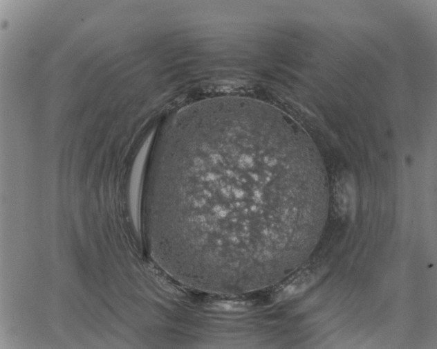 X0000063460657200601271605