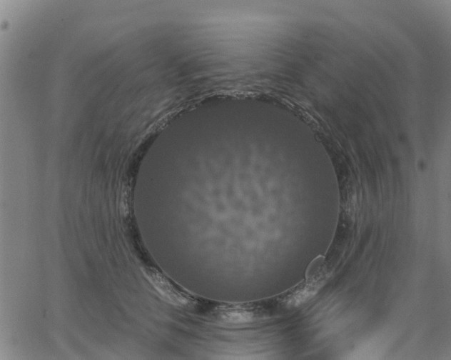 X0000063460658200601271605