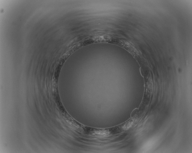 X0000063460659200601271605