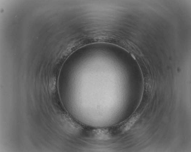 X0000063460660200601271605