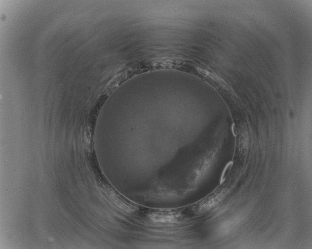 X0000063460661200601271605