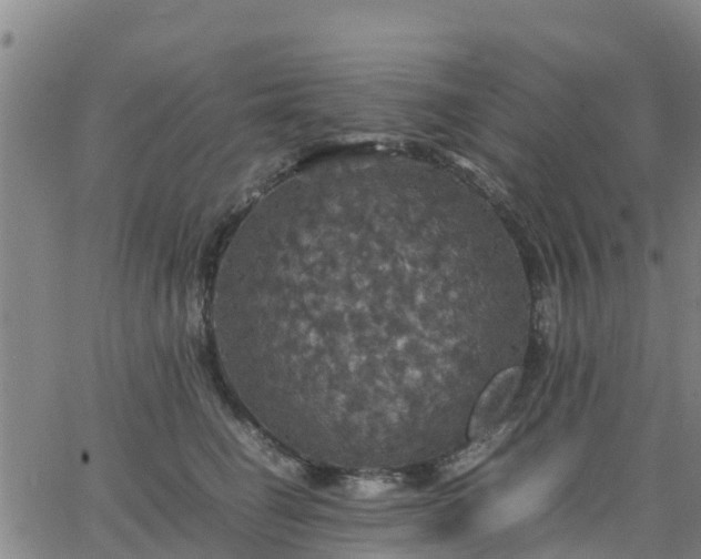 X0000063460662200601271605