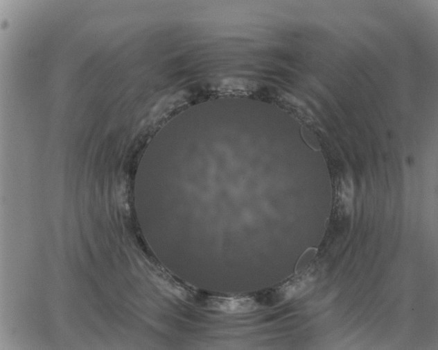 X0000063460663200601271605