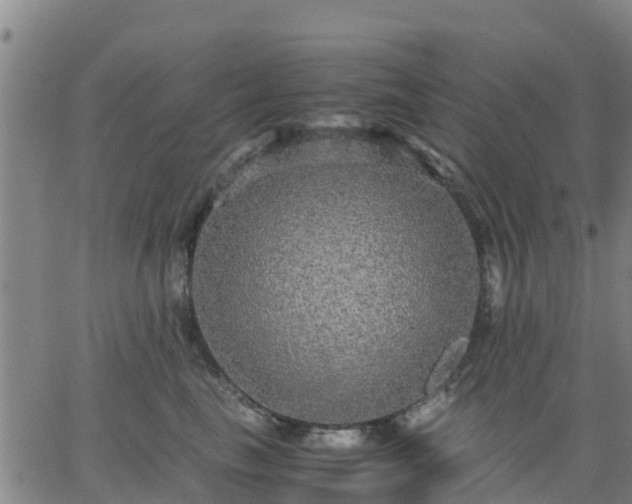 X0000063460665200601271605