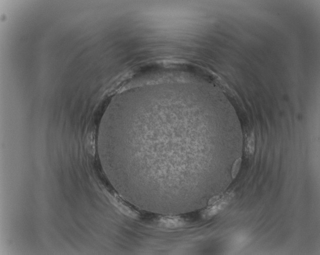 X0000063460666200601271605