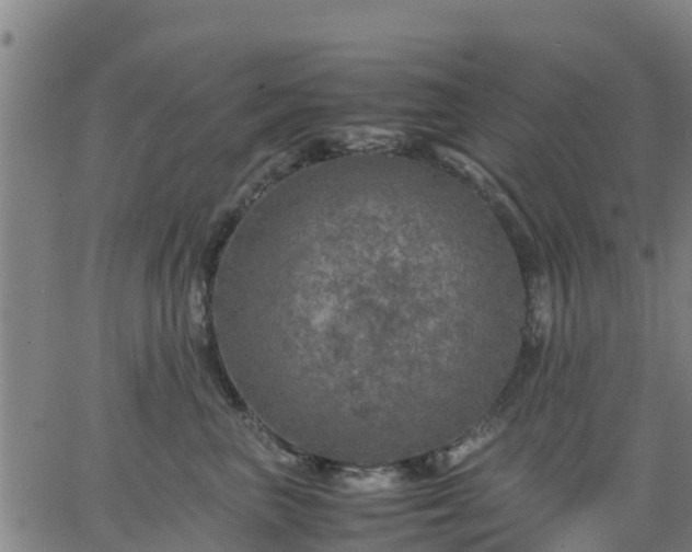 X0000063460667200601271606