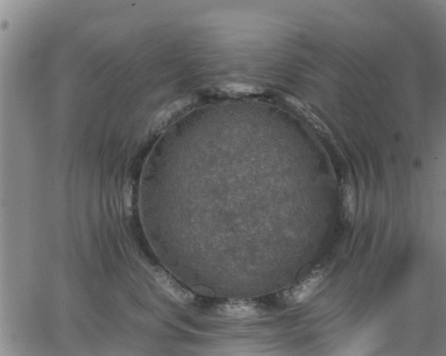 X0000063460668200601271606