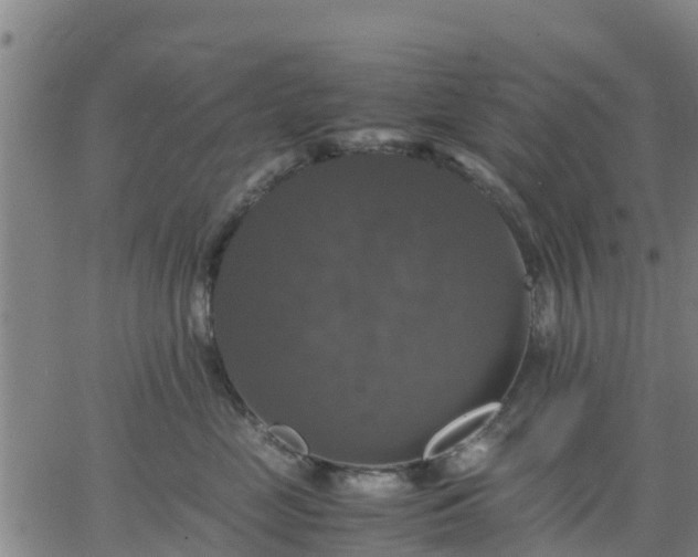 X0000063460669200601271606