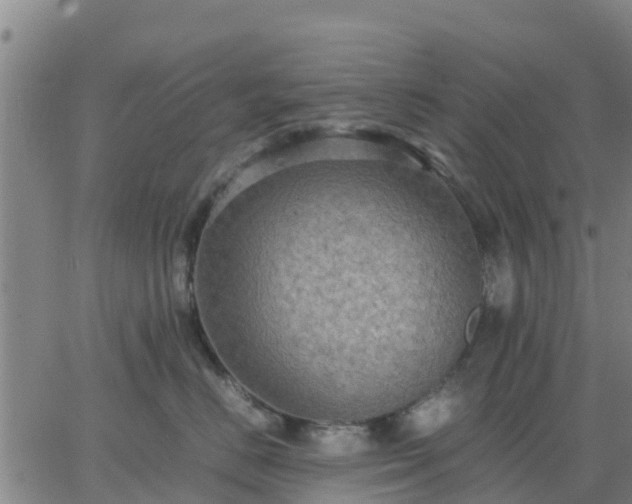 X0000063460670200601271606