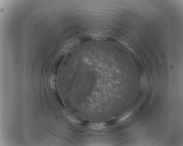 X0000063460671200601271606