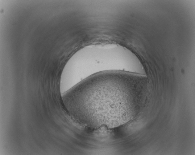 X0000063460672200601271606