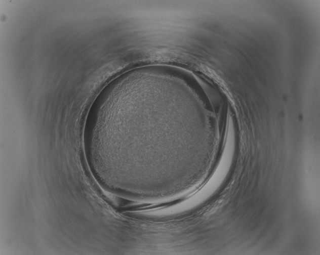 X0000063460673200601271605