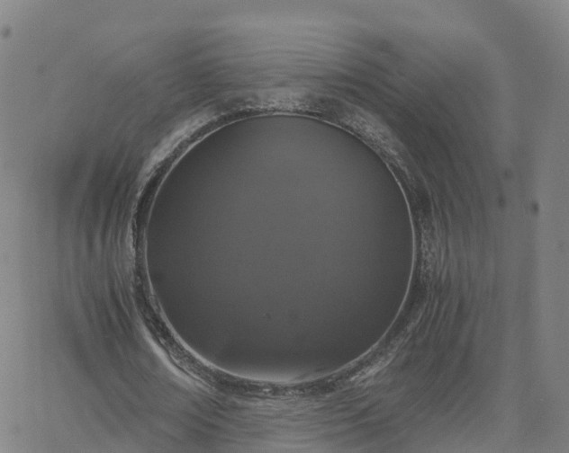 X0000063460674200601271605