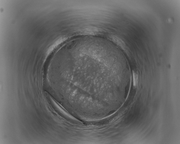 X0000063460675200601271605