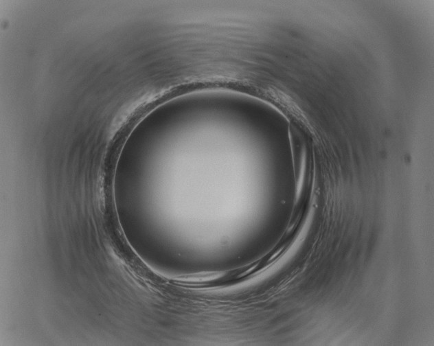 X0000063460676200601271605