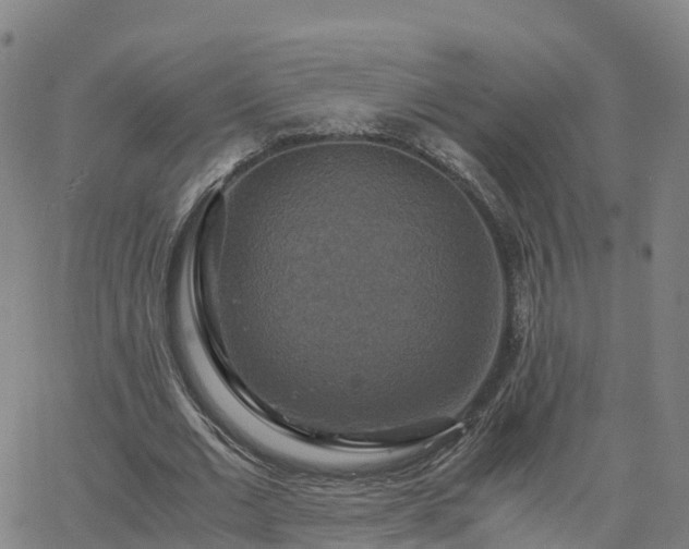 X0000063460677200601271605