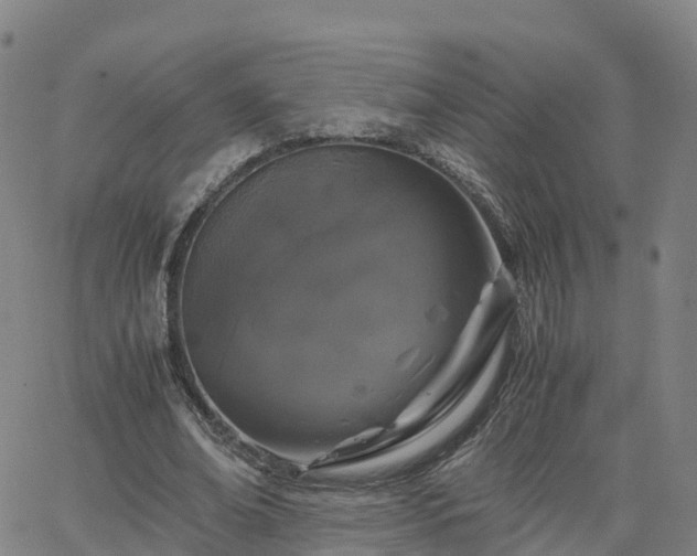 X0000063460678200601271605