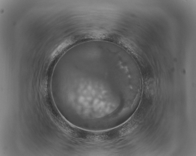 X0000063460679200601271605