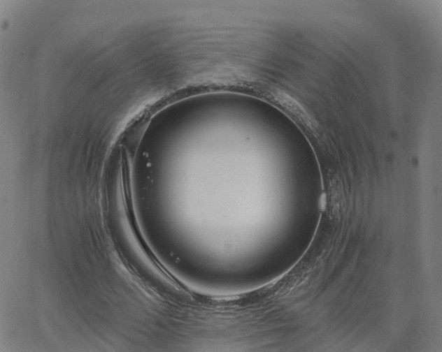 X0000063460680200601271605