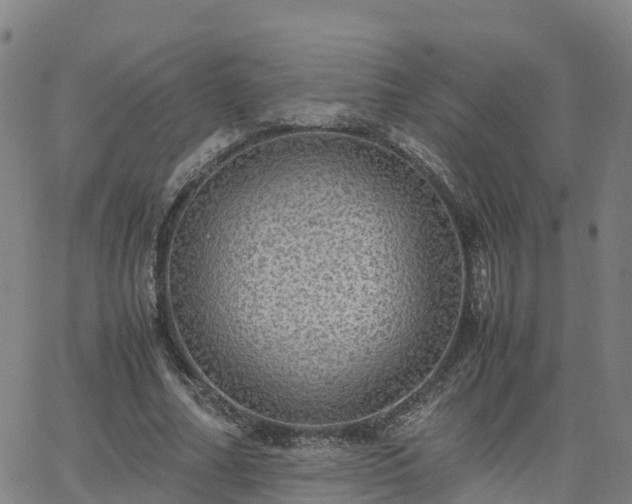 X0000063460682200601271605