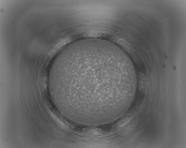 X0000063460683200601271605