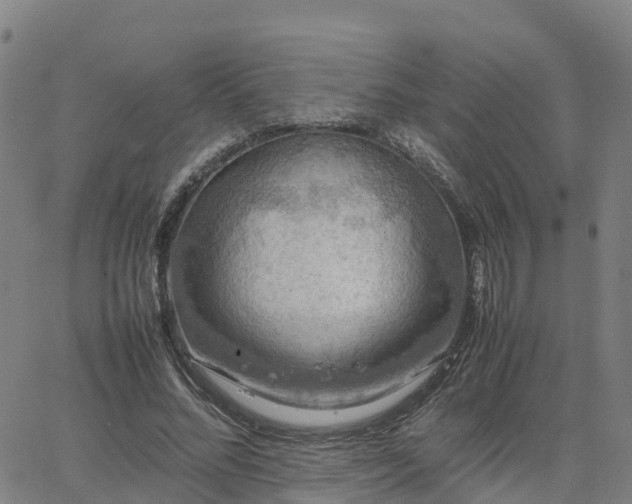 X0000063460684200601271605