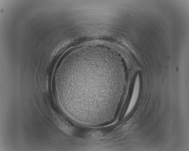 X0000063460685200601271605