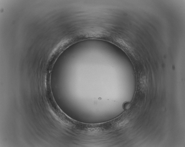 X0000063460686200601271605