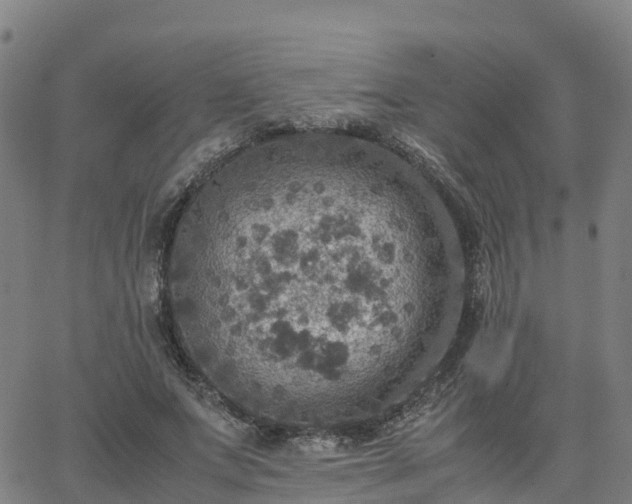 X0000063460687200601271605