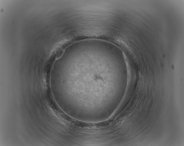 X0000063460688200601271605