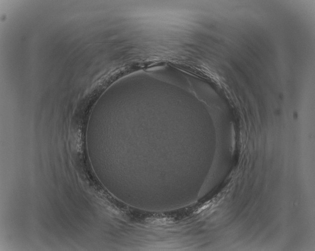 X0000063460689200601271605