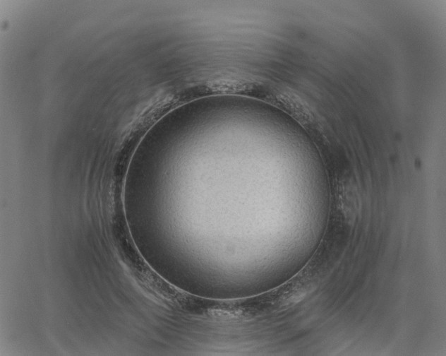 X0000063460690200601271605