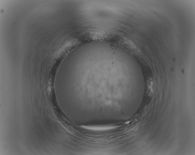 X0000063460691200601271605