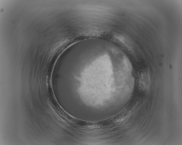 X0000063460692200601271604